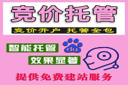 案例分析：百度竞价推广运营如何助力企业实现品牌突破